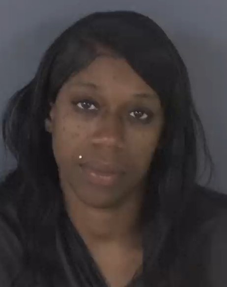 Mugshot of ERIKA DELANIA WIGGINS