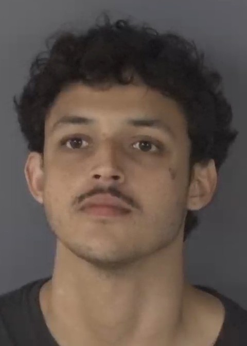 Mugshot of DEMITRY ERMANNO NOLLETTI