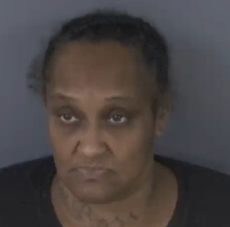 Mugshot of TAMIKA MARSHANNA LONG