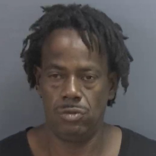 Mugshot of TERRI TERRELL TILLIE