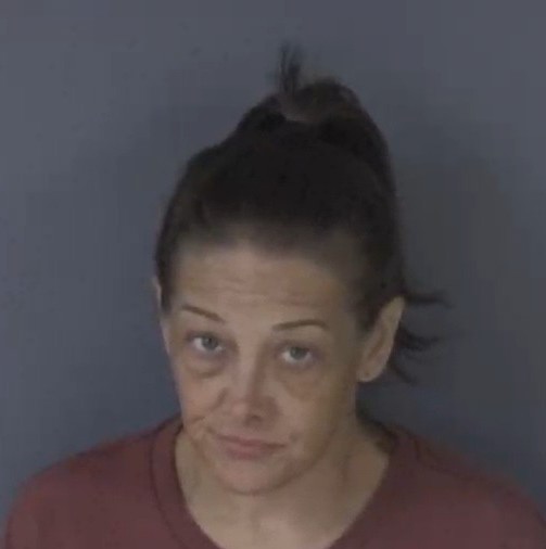 Mugshot of TRISHA MICHELLE MOSHER
