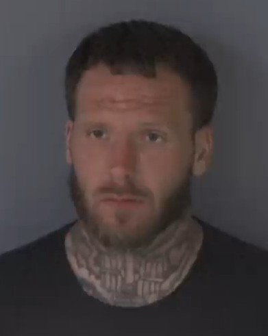 Mugshot of STEVEN WAYNE HAMILTON