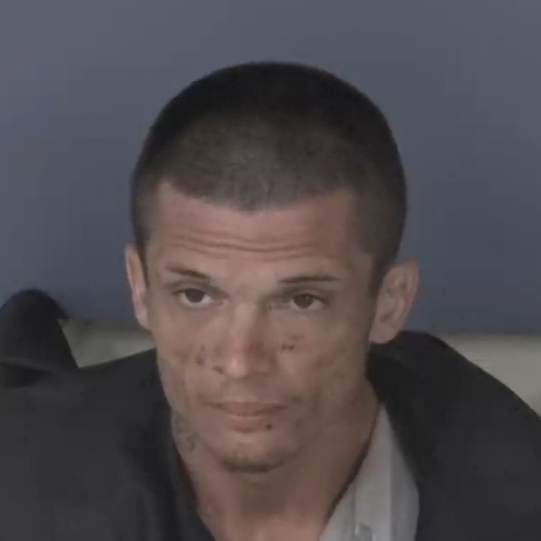 Mugshot of WILLIAM TRACY JR WHITE
