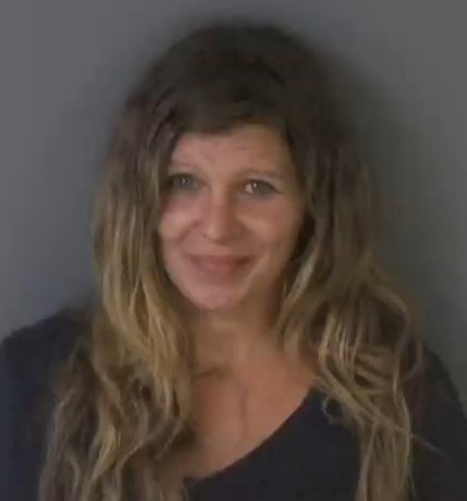Mugshot of JOYCE ANN WELLS