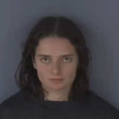 Mugshot of ANNETTE ROSA MANNANOV