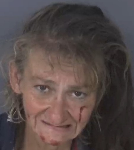 Mugshot of MARY TISI