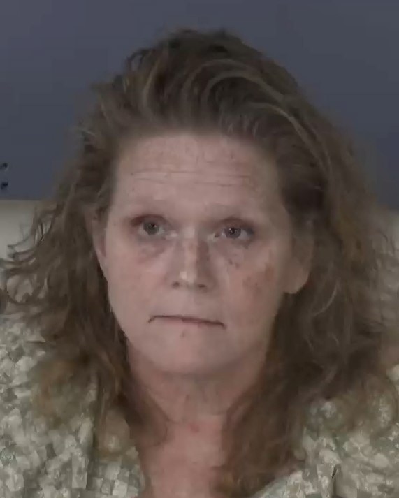 Mugshot of HEATHER KATHLEEN TIPTON