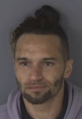 Mugshot of SEAN MICHAEL YOUNG