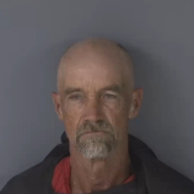 Mugshot of WENDELL SHERMAN JR CALKINS