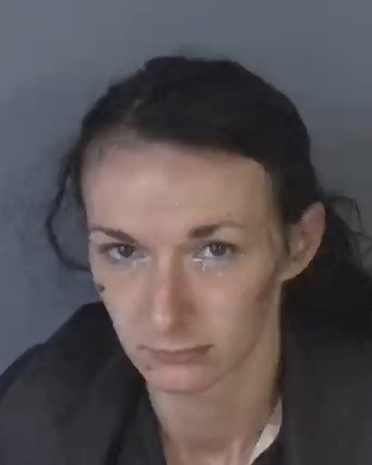 Mugshot of ANGELICA DAWN WILSON