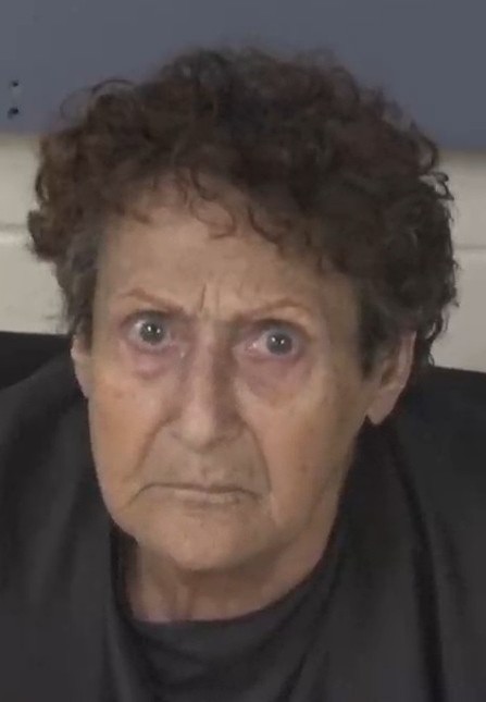 Mugshot of JILL ETIS