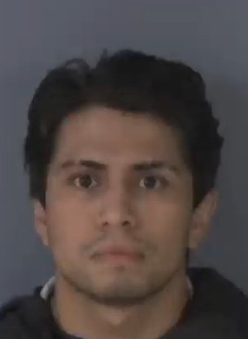 Mugshot of NESTOR DANIEL MYER
