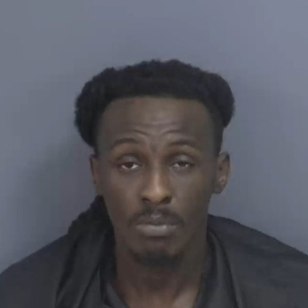 Mugshot of ALIZE DEMARIO CAPERS-BUSH