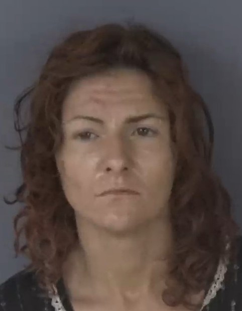Mugshot of ASHLEY ELIZABETH HEISE