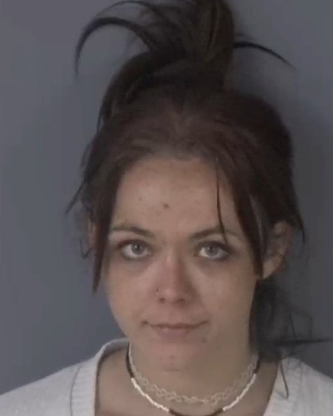 Mugshot of KRISTI LYN MILAM