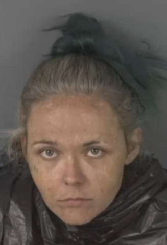 Mugshot of KRISTI LYN MILAM