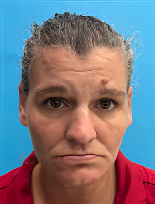 Mugshot of Christine Marie Rapisardi