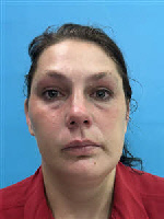 Mugshot of Sarah Nicole Hyler