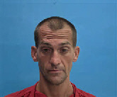 Mugshot of Michael Lee Burnsed
