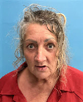 Mugshot of Lisa Christine Darnell