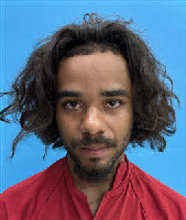 Mugshot of Bryson Xavier Walck