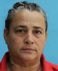 Mugshot of Diana Luisa Sanchez