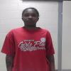 Mugshot of D'NYSE NYCOLE MCGEE