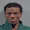 Mugshot of DAVID LEE WHITE