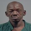 Mugshot of AVIS LATHELL SEALS