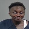 Mugshot of SHANTEL PATRICE MARSHALL