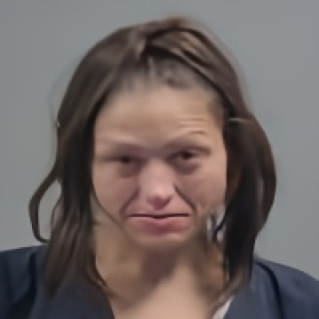 Mugshot of LISAMARIE JENE PERKINS