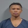 Mugshot of ELISH YANETTA GRAY