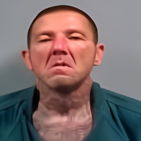 Mugshot of PATRICK RAY ROBINSON