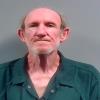 Mugshot of GAYLON STACEY NELSON