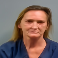 Mugshot of DEBORAH S NEHMER