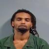 Mugshot of JAMES ARNESS JOHNSON