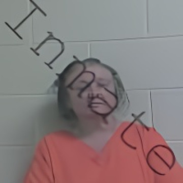 Mugshot of ELAINE CHRISTINA EAKLE