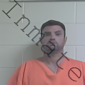 Mugshot of AUSTIN LEE LIVELY