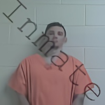 Mugshot of JR, PAUL VICTOR COWART