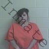 Mugshot of JULIE ROCHELLE ROGERS