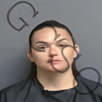 Mugshot of DANIELLE LEIGH JOHNSON