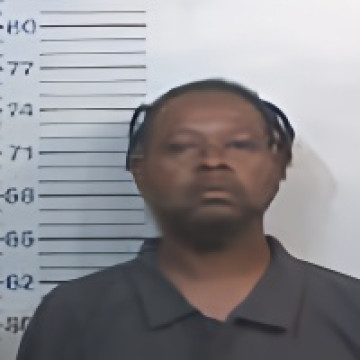 Mugshot of LEE MICHAEL JOHNSON