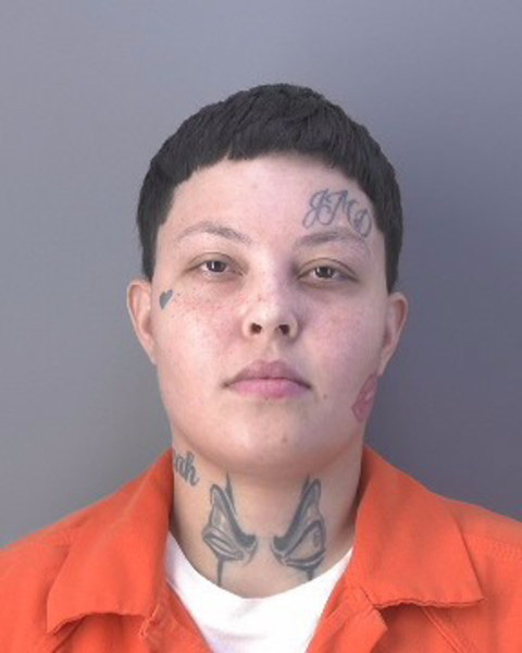 Mugshot of ALEXIS MARIE PEREZ