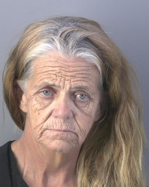 Mugshot of LENA DORINE LAMB