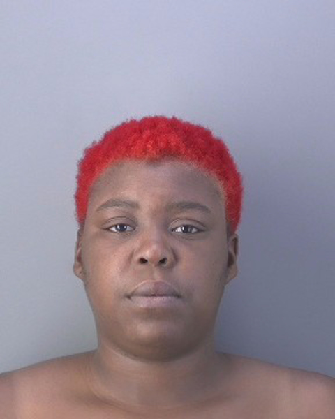 Mugshot of ERYKAH ZYKIA FLOURNAH