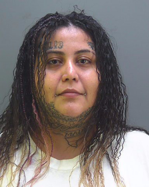 Mugshot of RACHEL GONZALEZ