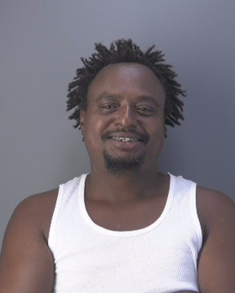 Mugshot of CARLTON DONISHUS WILLIAMS