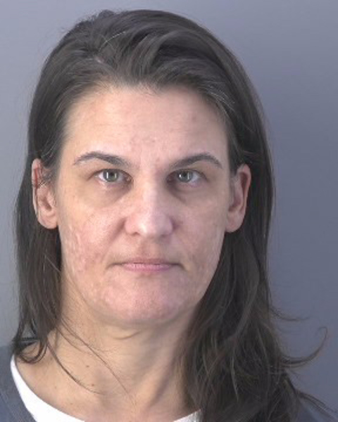 Mugshot of JAMIE LEE LONG