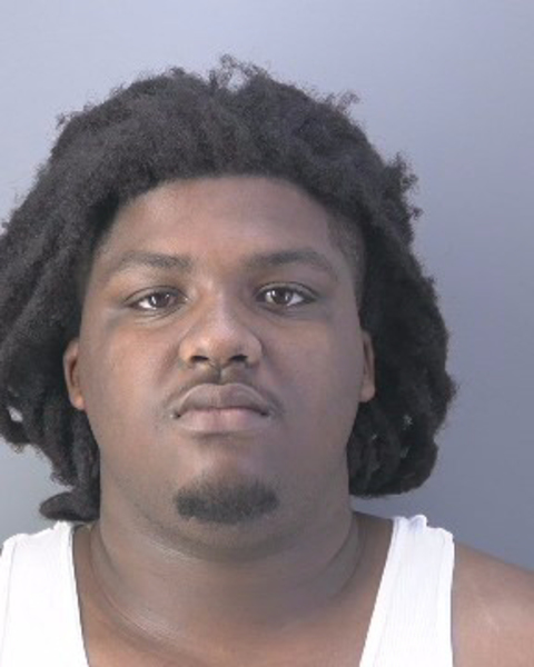 Mugshot of DERRICK LAMANZ BRYANT