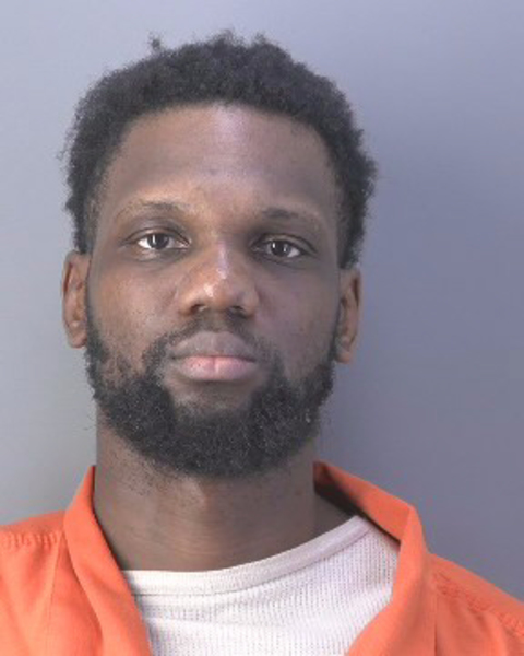 Mugshot of CLAUDELLE PHILISTIN